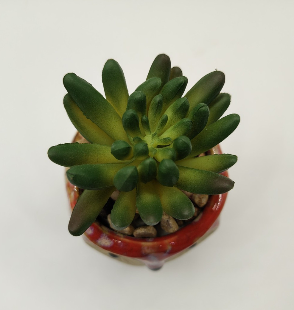 Owl Planter with Artificial Succulent Plant