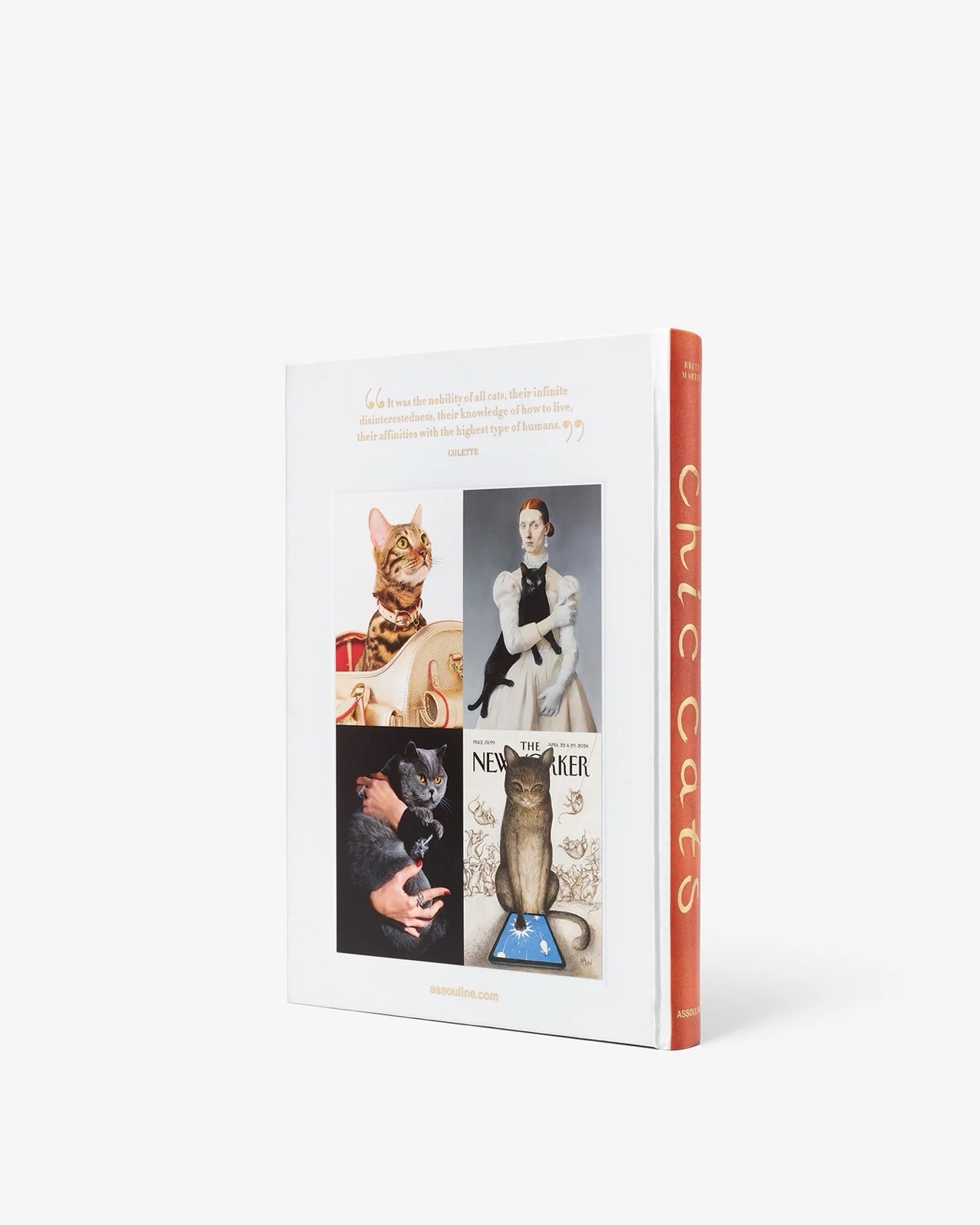 Assouline Chic Cats Hardcover Book English Illustrated Cats Animals & Pets