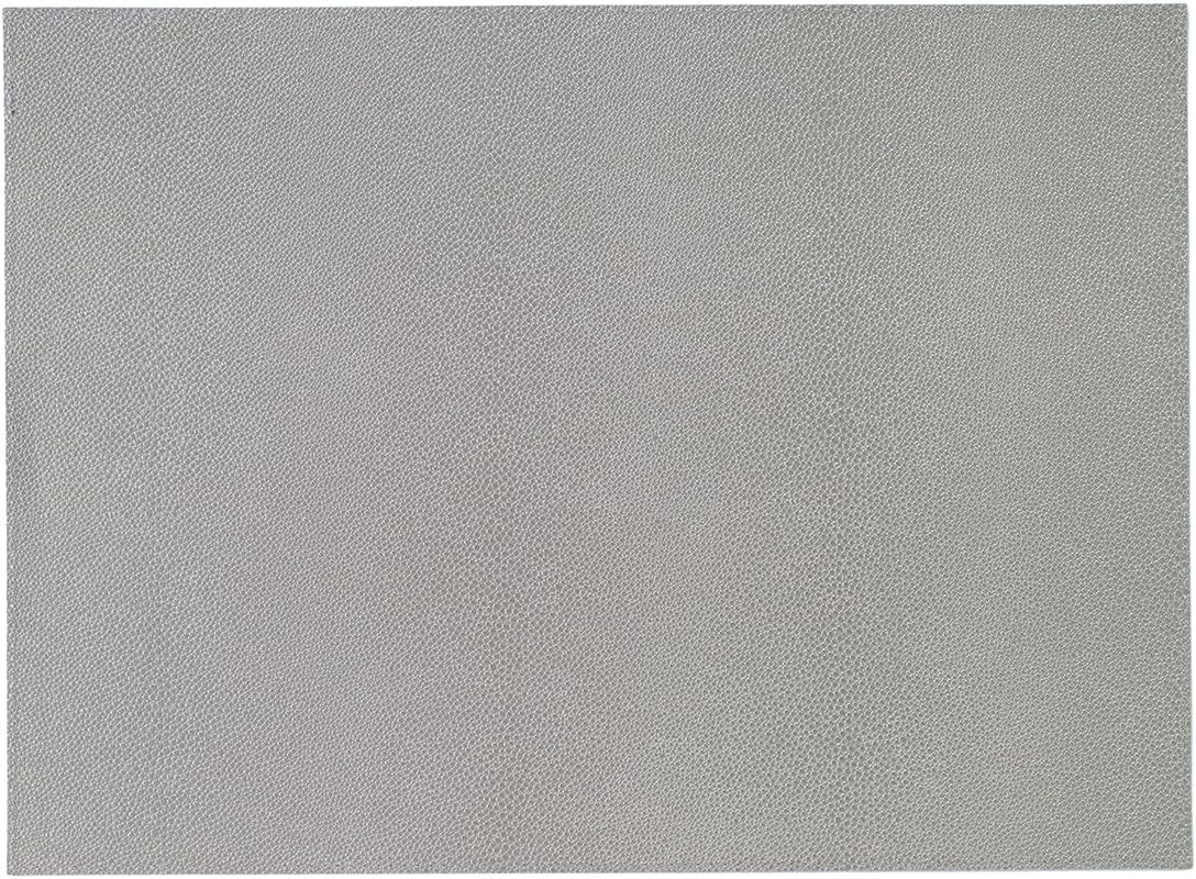 Skate Shagreen Easy Care Placemats- Wipeable Vinyl Table Mats – Rectangle – Set