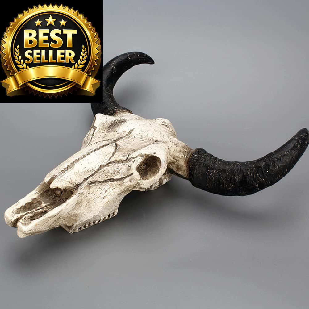 Bull Head Skull Wall Hanging Art Cow free size, As Picture Show