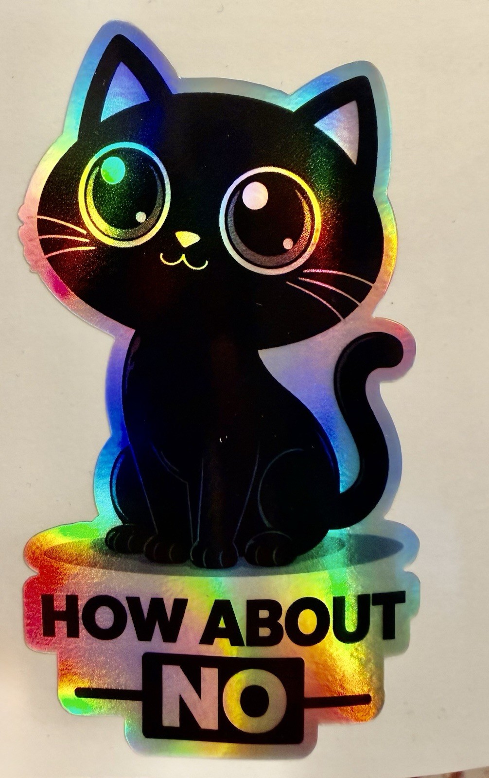 Cute Holographic Cat Sticker 2.5 In X 4 In Funny “how About No”, Vinyl Decal Car