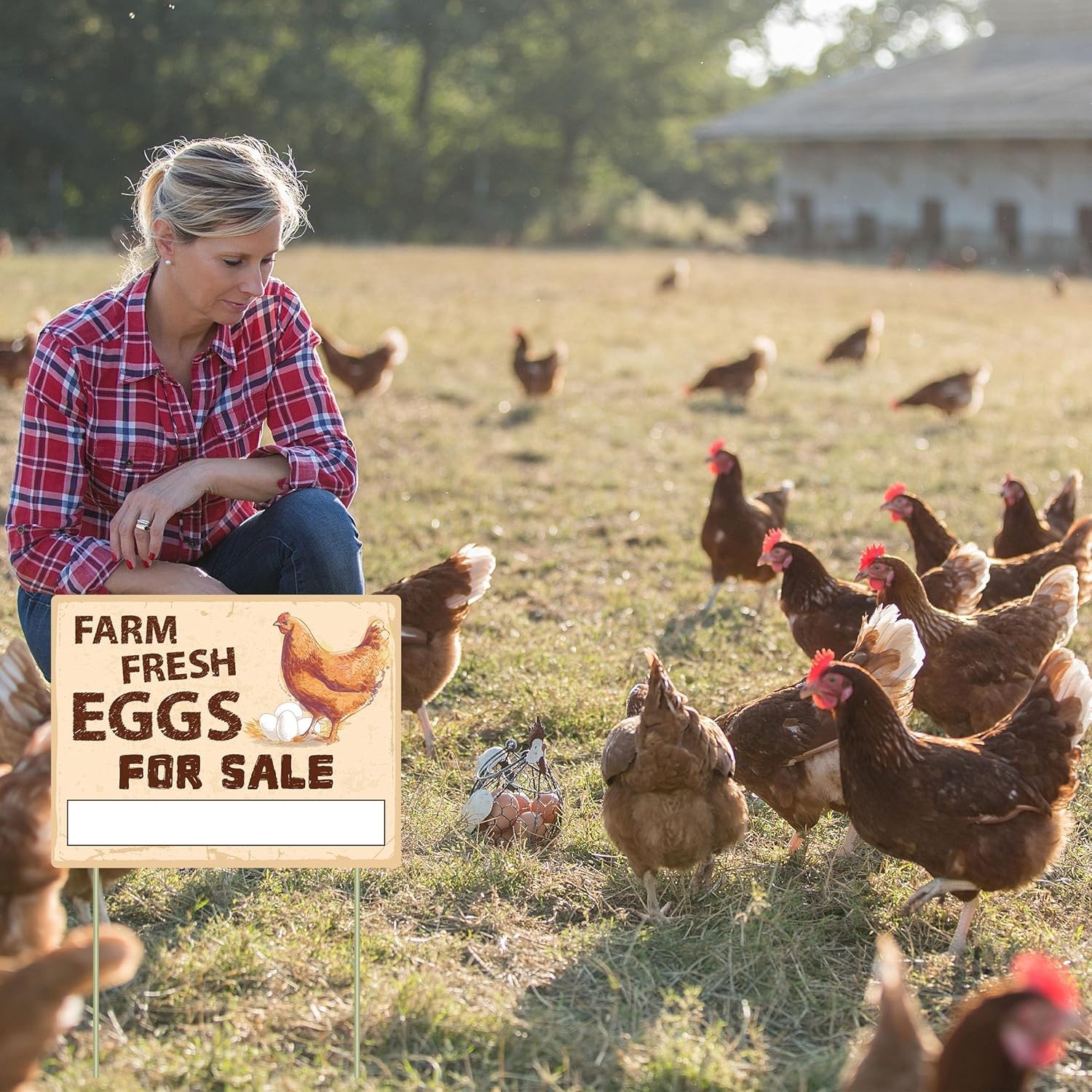 3Pcs Double Sided Farm Fresh Eggs Sign Eggs for Sale Sign Corrugated Plastic Fre