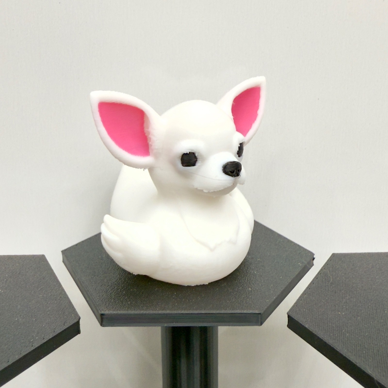 Chihuahua Duck | White Black Tan Brown Mix | Jeep Duck | Cruise Décor | 3D Print