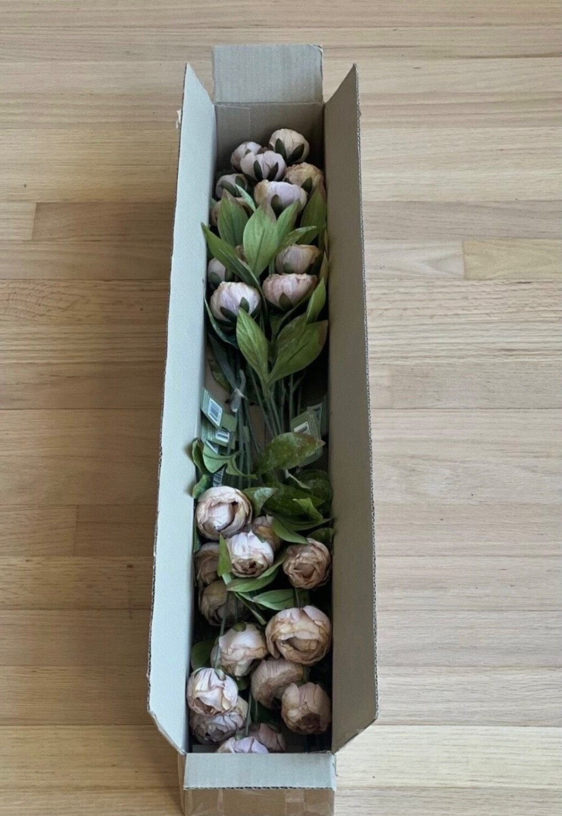 Viral Ashland Michael’s Set of 8 Tan Peony Stems