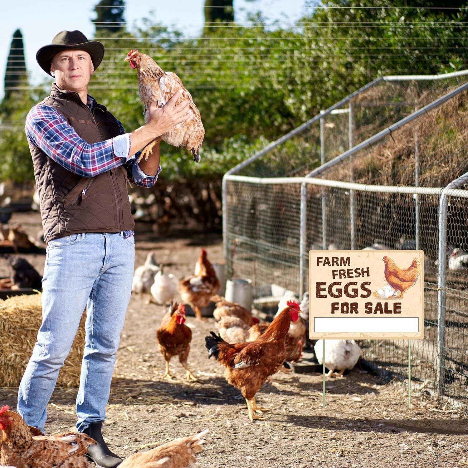 3Pcs Double Sided Farm Fresh Eggs Sign Eggs for Sale Sign Corrugated Plastic Fre