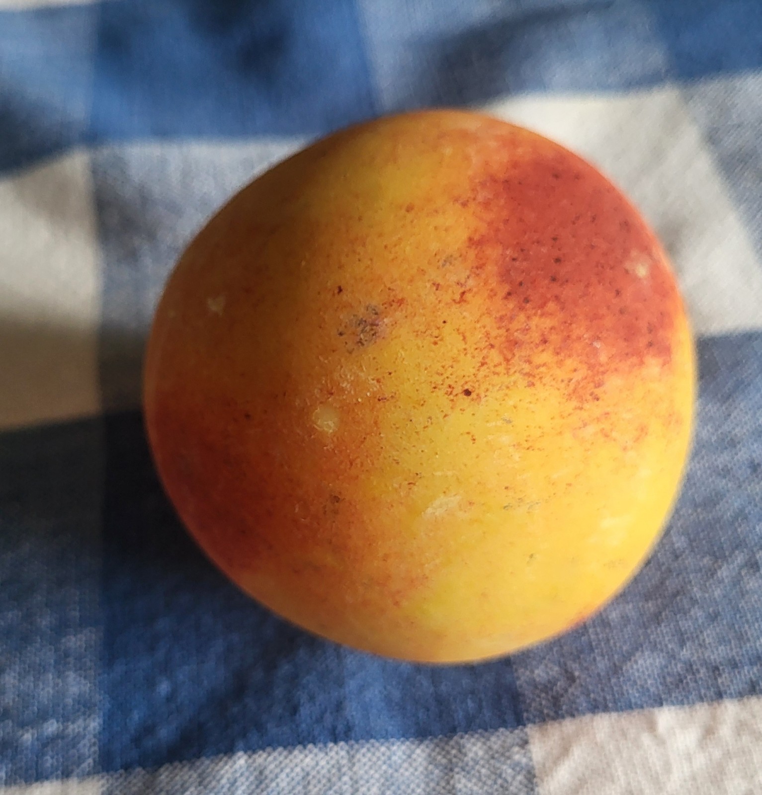Vintage Stone Fruit, 5 Pieces