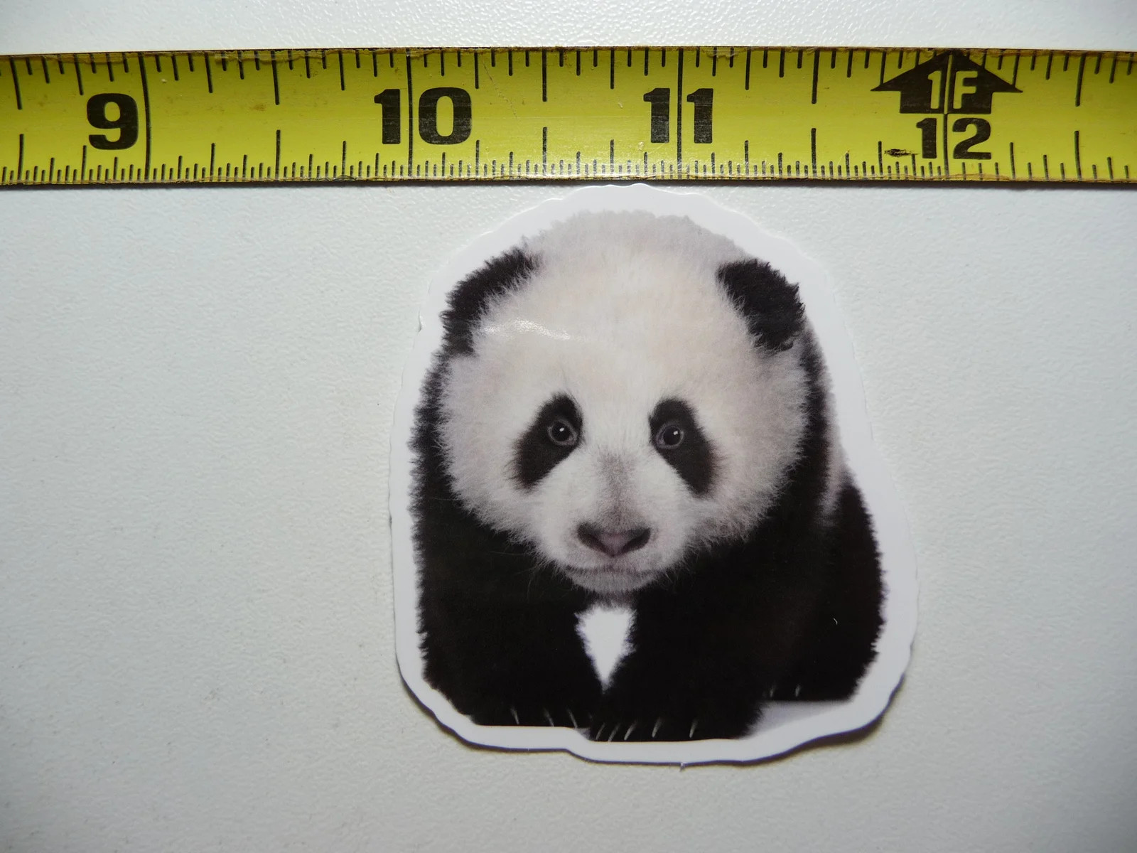 CHINA BABY PANDA ZOO SMALL STICKER DECAL WILDLIFE PRESERVE NATURE ANIMAL