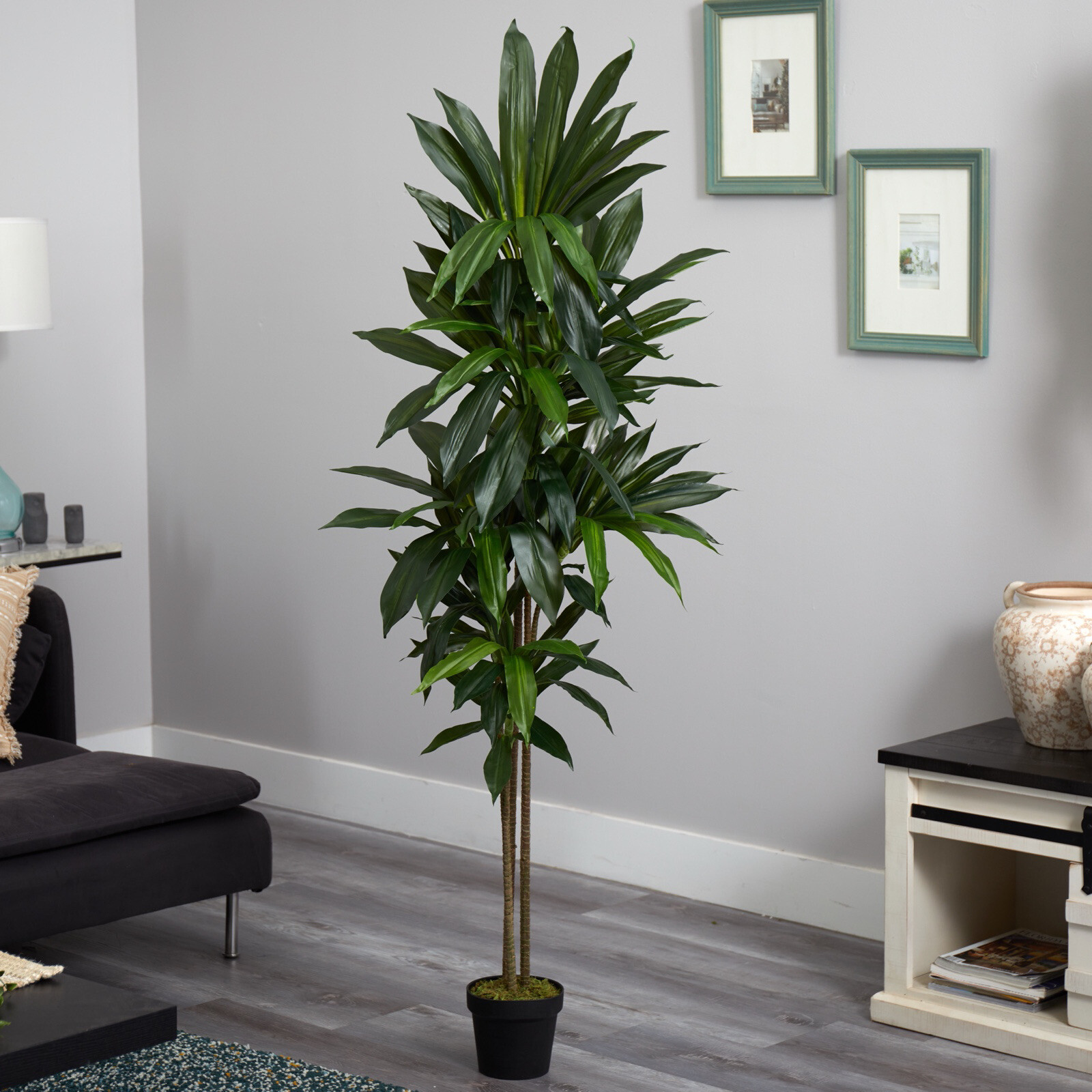 6 Ft Dracaena Artificial Silk Plant Real Touch Home Decor. Retail $133