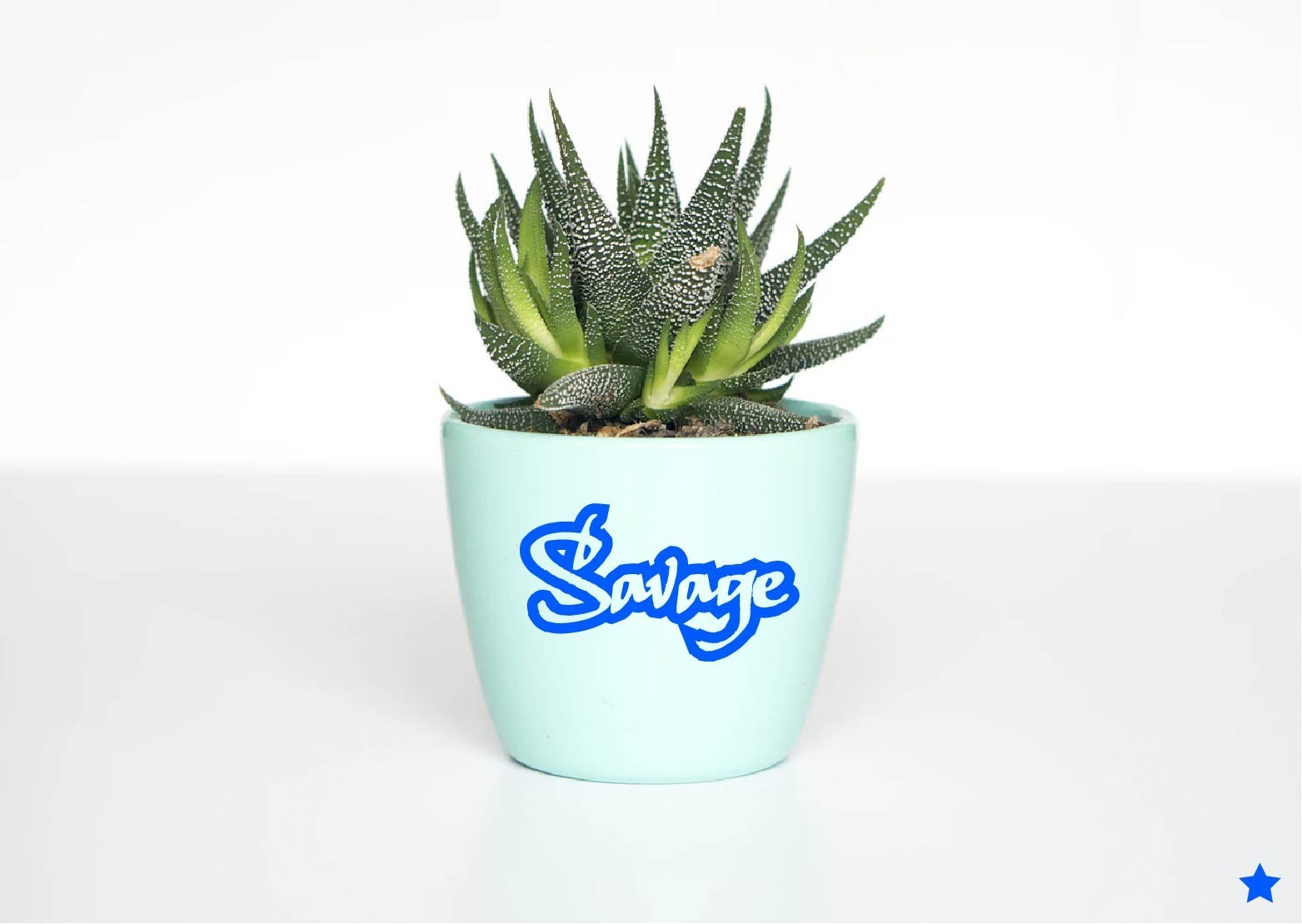 Savage Decal Vinyl Sticker Graffiti Attitude Own Independent Brutal Honesty Hood