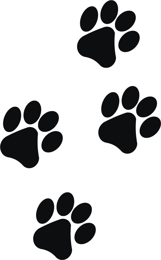 Eight Paw Prints Pet Cat Dog Kitten Puppy Vinyl Decal Car Window Bumper Sticker