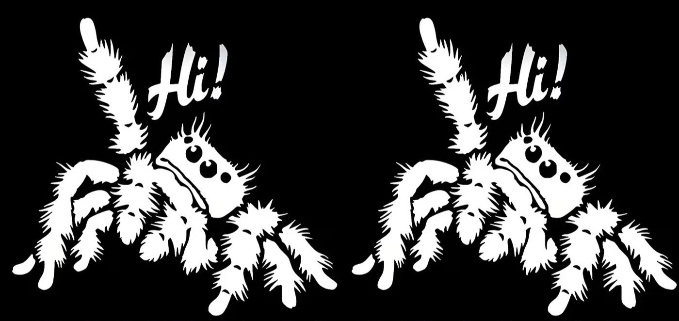 Jumping Spider ”Hi!” Two PK 5″ Vinyl Decals Car Truck Window Door Laptop Tablet