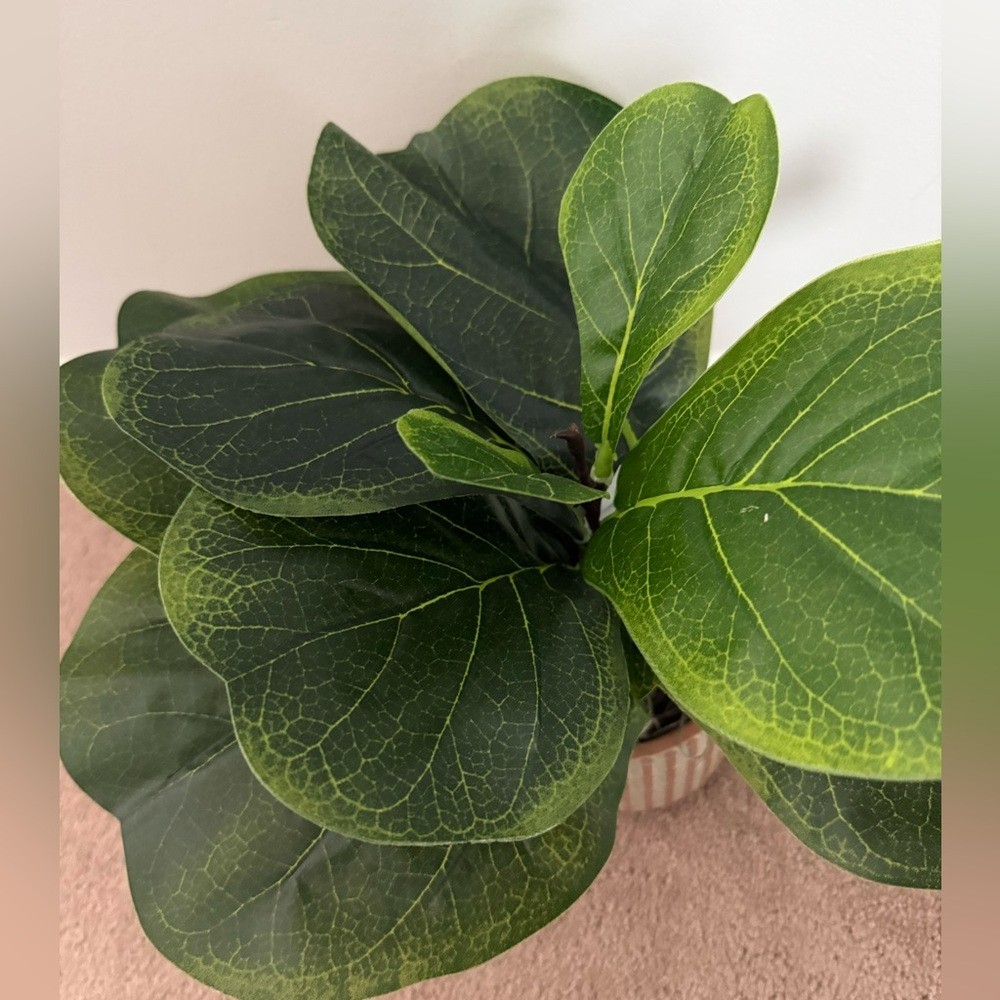 NWT Faux Green Fiddle Leaf Potted Plant – Decorative Home Accent