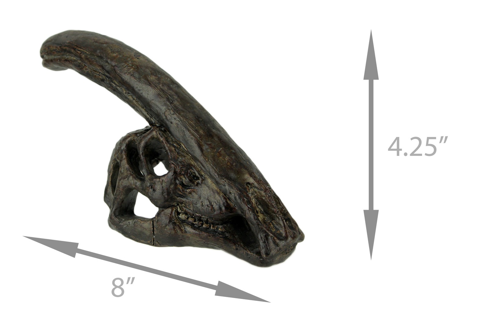 8 in Parasaurolophus Dinosaur Skull Fossil Resin Statue Home Office Decor