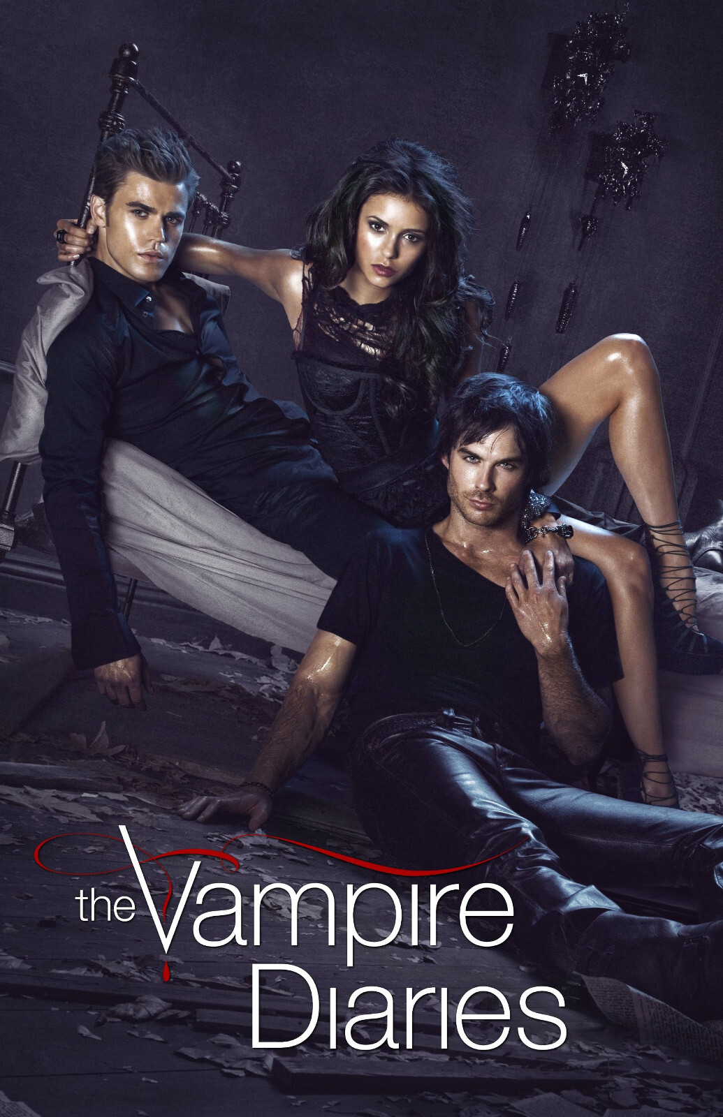 BB4513 The Vampire Diaries Show By Julie Plec 2009 Black Movie Poster 11×17