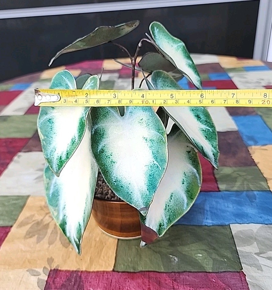 Vintage Enameled Metal Faux Variegated Alocasia Plant W Glazed Brown Pot *READ*