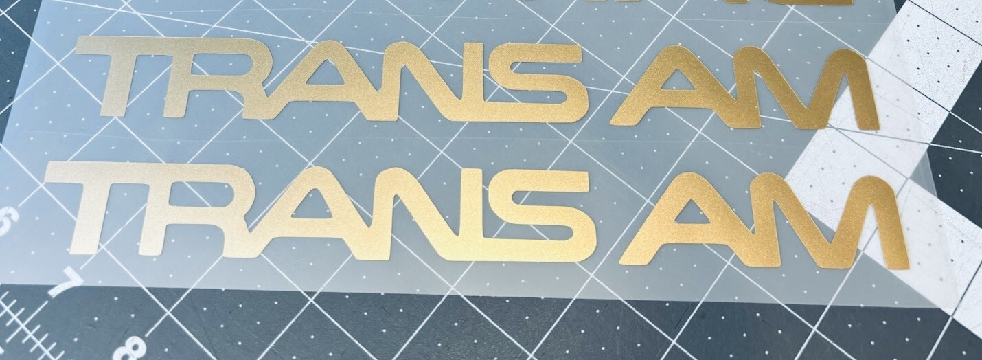 TWO Trans Am Vinyl Decals Many Sizes/Colors Buy 2 Prs Get 1 Pr Free FREE Ship