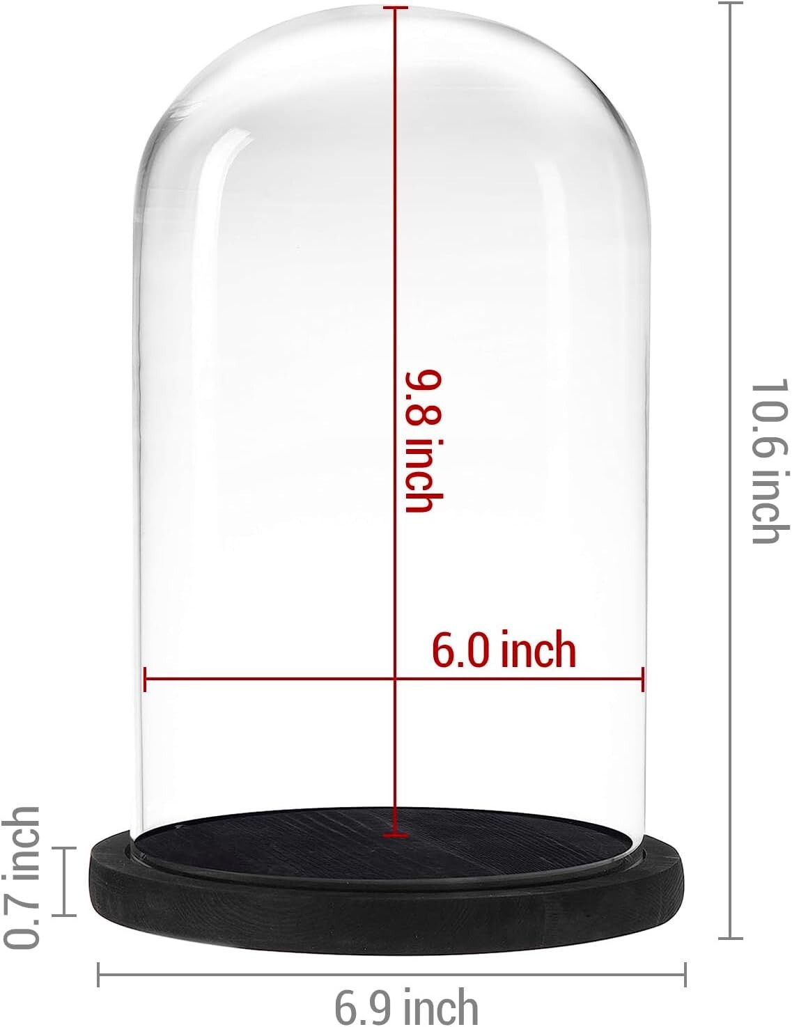 6 x 10 Inches Clear Glass Cloche Bell Jar Display Case w/ Rustic Black Wood Base