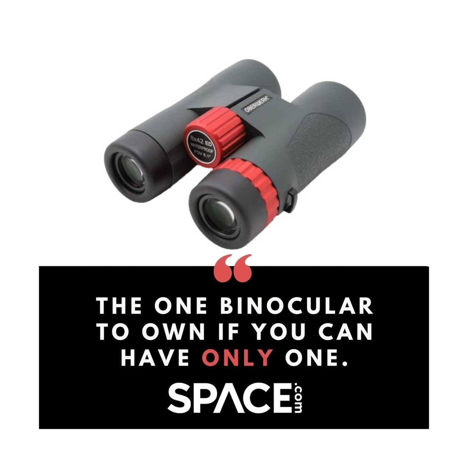 Oberwerk Sport ED Binocular (8×42) – Professional Binoculars for Adults/Hikin…