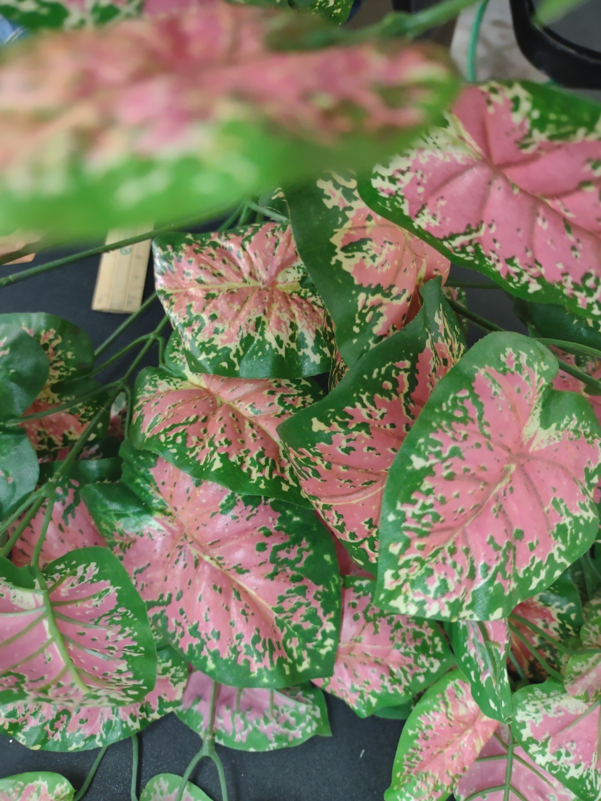 Silk Caladium Plant 16 Inches w/96 Leaves Pink & Green Baby Elephant’s Ear Bush