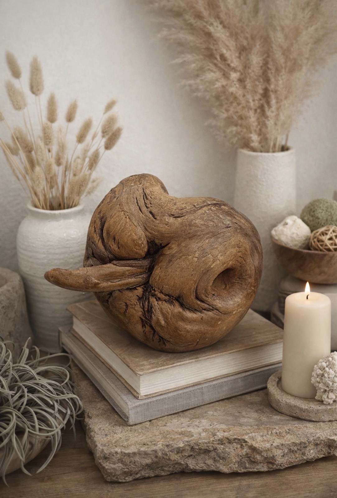 Natural Wood Burl Sculpture – Organic Root Knot – Smooth Driftwood Art Object