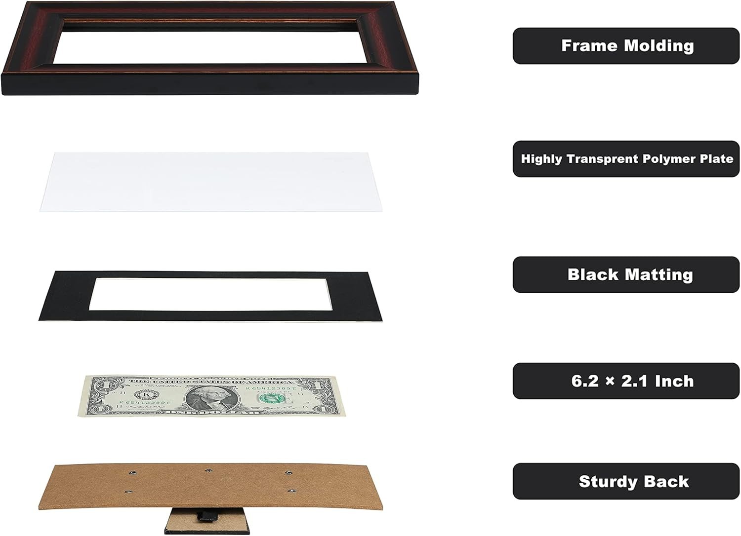 Paper Money Holder Dollar Bill Display Currency Frame, Easel Stand & Wall Hanger