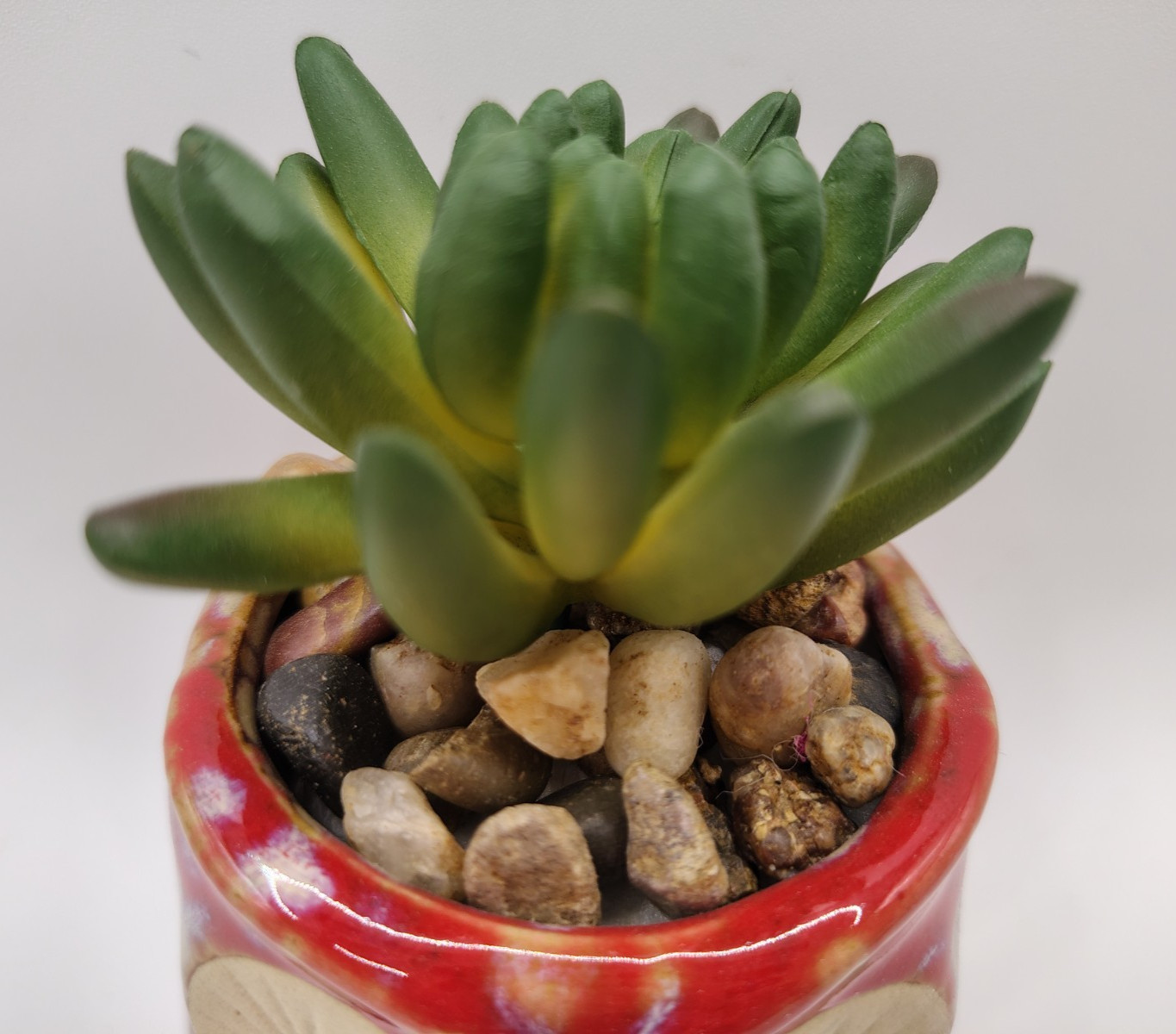 Owl Planter with Artificial Succulent Plant