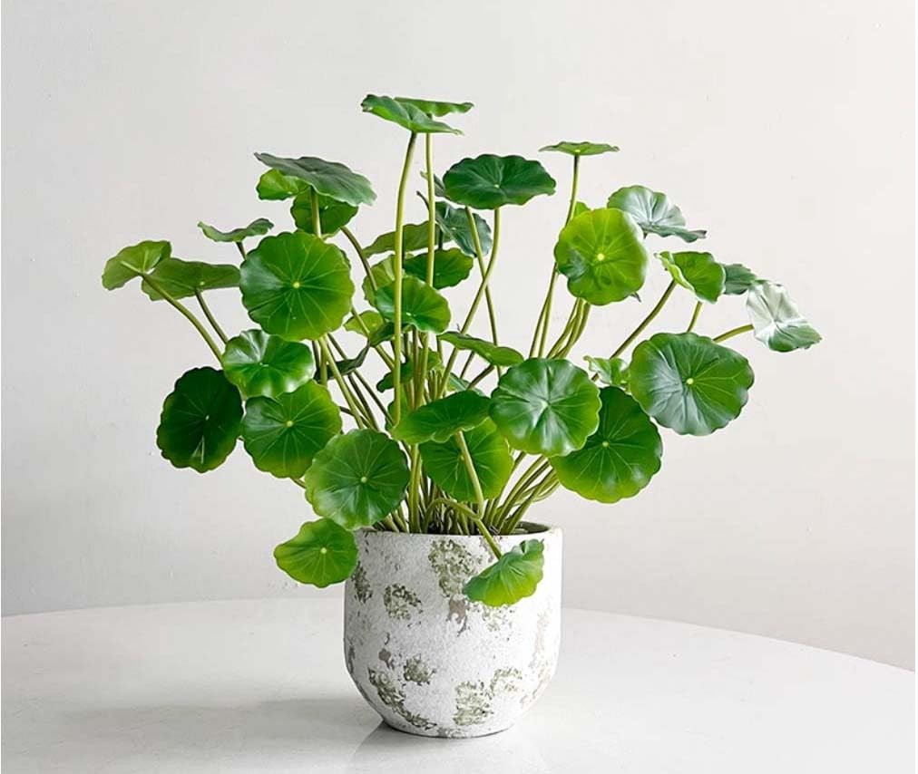 3pcs Small Fake Lotus Plants with Roofs and Leaves, Faux Greenery Stems for V…