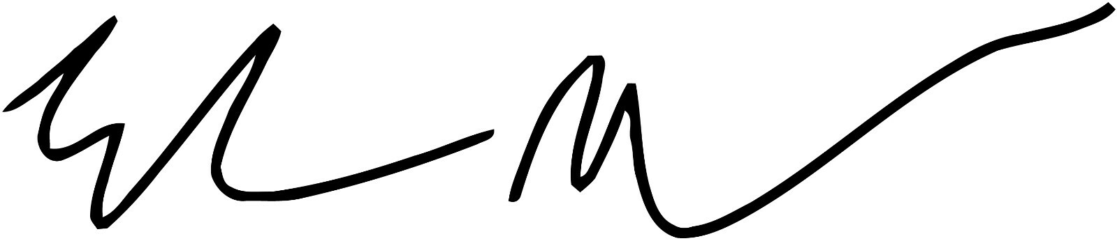 Tesla Elon Musk Signature VINYL DECAL Model 3 S X BLACK 9×2 inch Dash Charger