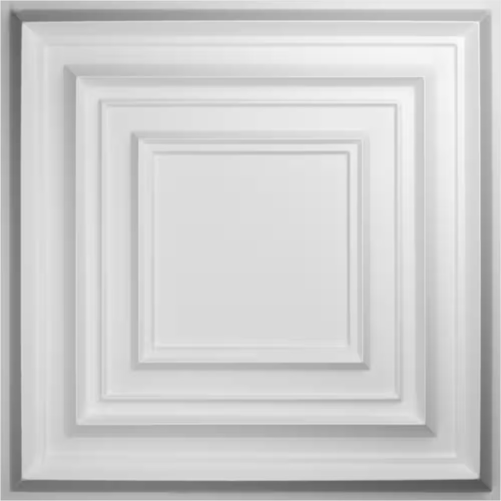19-5/8-In W X 19-5/8-In H Multiplex Endurawall Decorative 3D Wall Panel