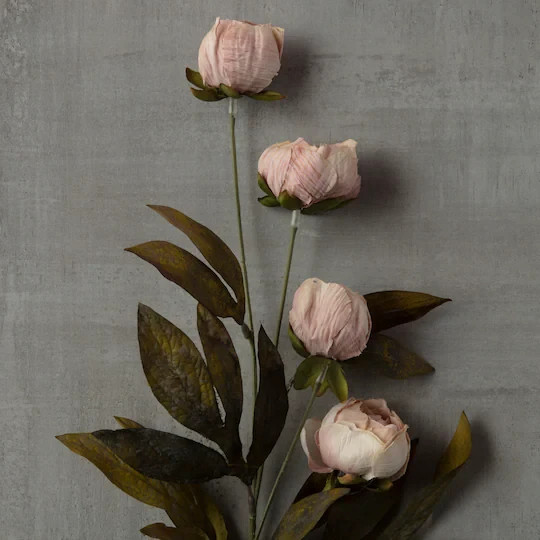 Viral Michael’s Ashland TAN Peony Stem YOU CHOOSE QUANTITY bundle save TIKTOK