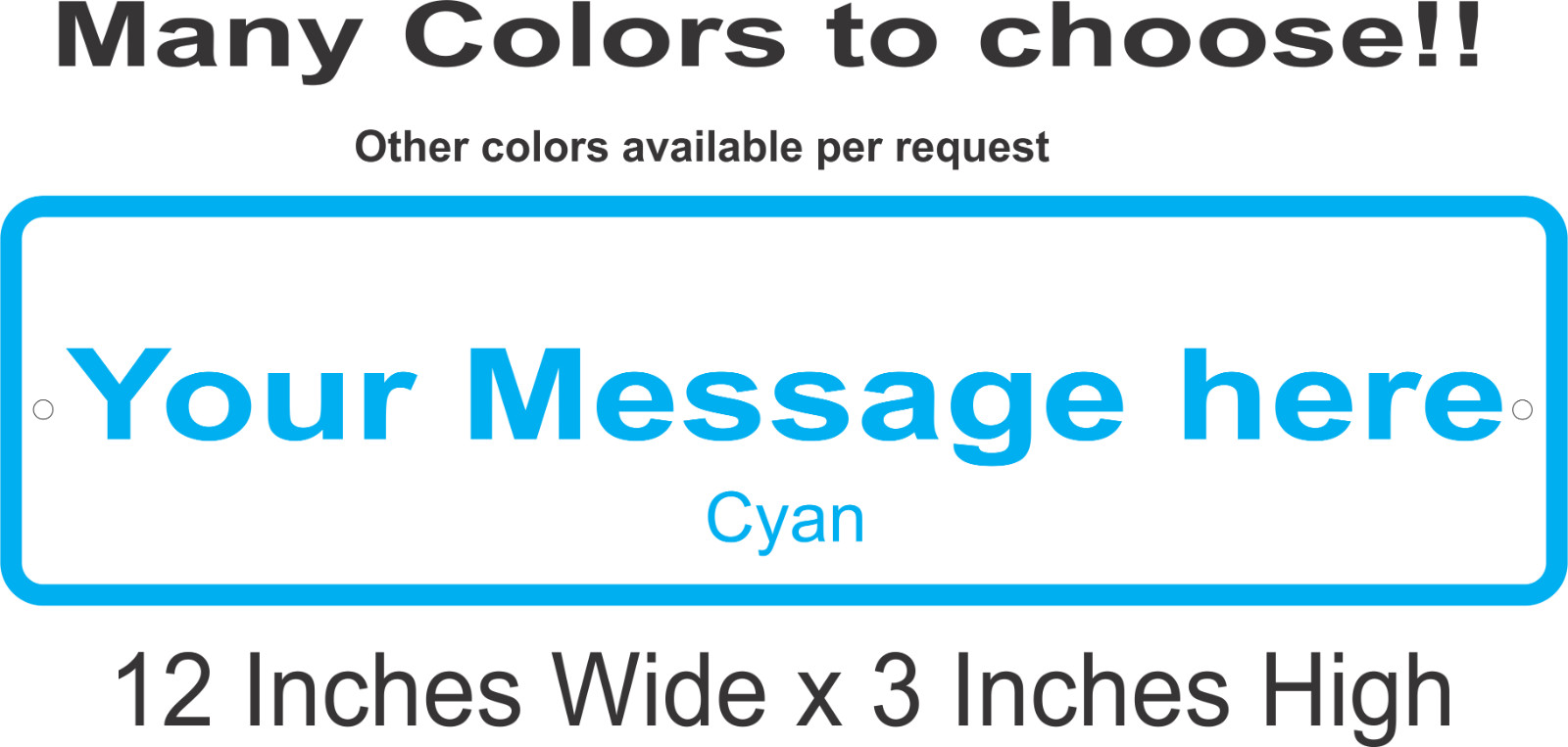 Personalized Custom Aluminum Sign Customized With Your Message 12 In x 3 In
