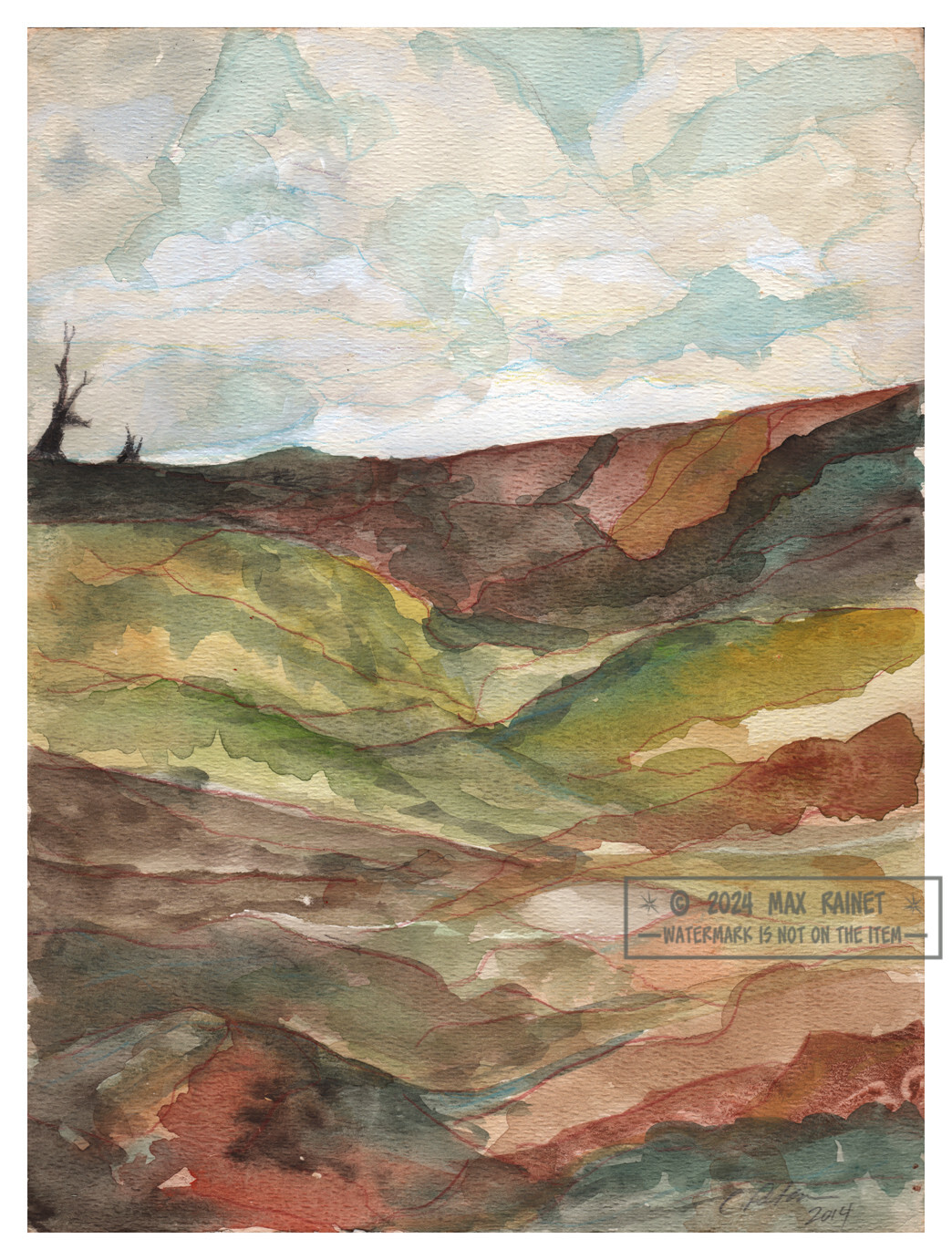 Old Trees Overlook a Lush Ventura Valley 2014 C Peterson * Frame Worthy Art !