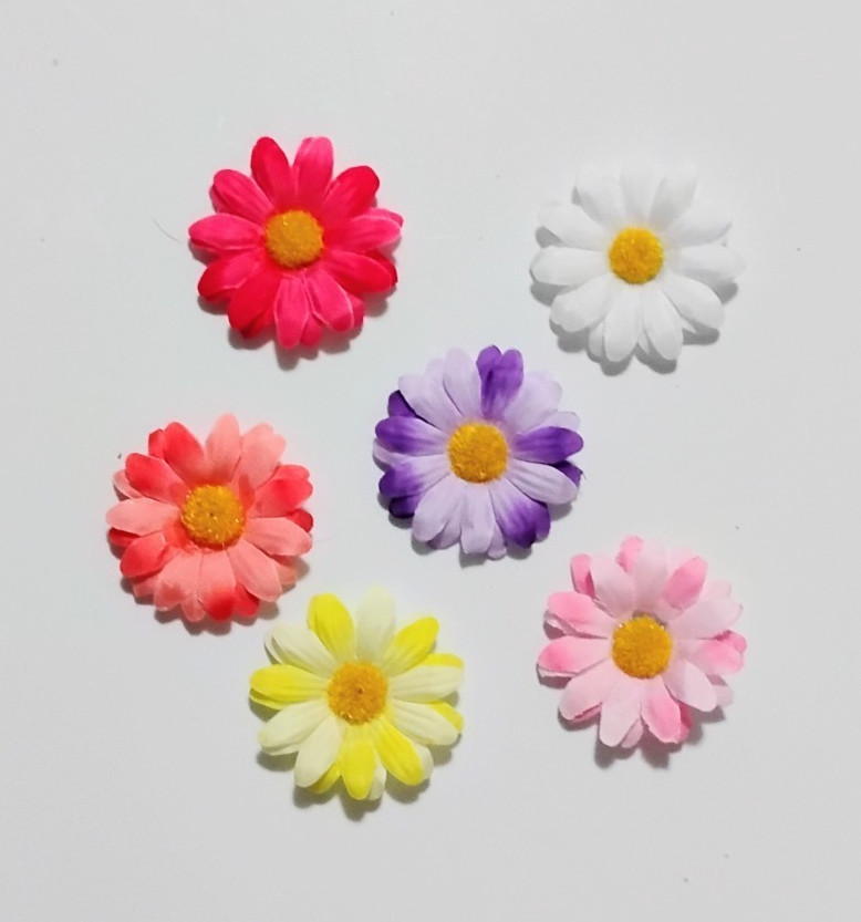 6 Fridge MAGNETS Pretty Large 2 Inch Round Artificial & Colorful Daisy Flowers