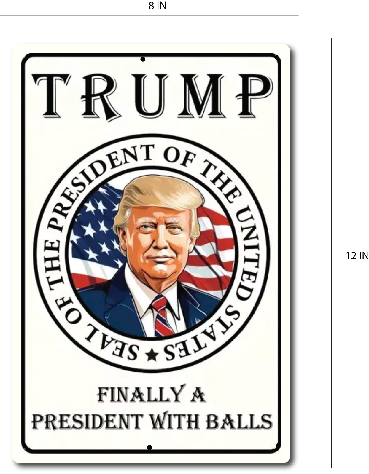 2024 Tin Metal Sign DONALD TRUMP TRUMP FINALLY A PRESIDENT WITH BALLS