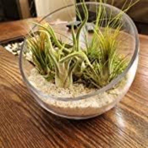 Stylish Slant Cut Glass Bowl – Perfect for Home Decor & Gift for All Occasions