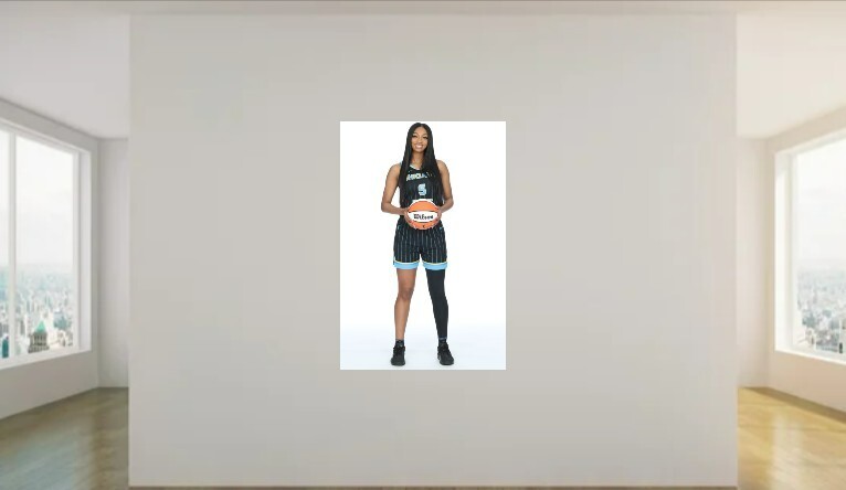 ANGEL REESE WNBA Basketball Wall Vinyl Decal Poster Removable Adhesive Backing