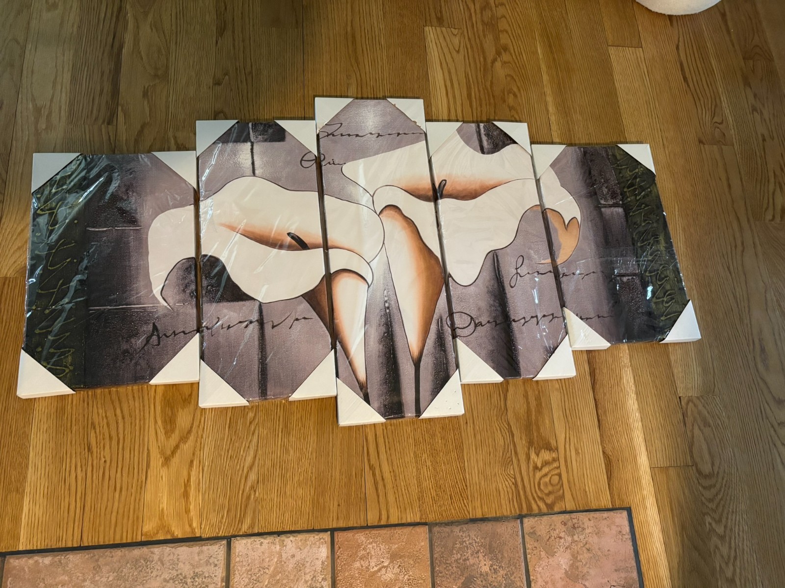 NEW Weico Abstract Brown Lily Canvas Wall Art 5 pieces