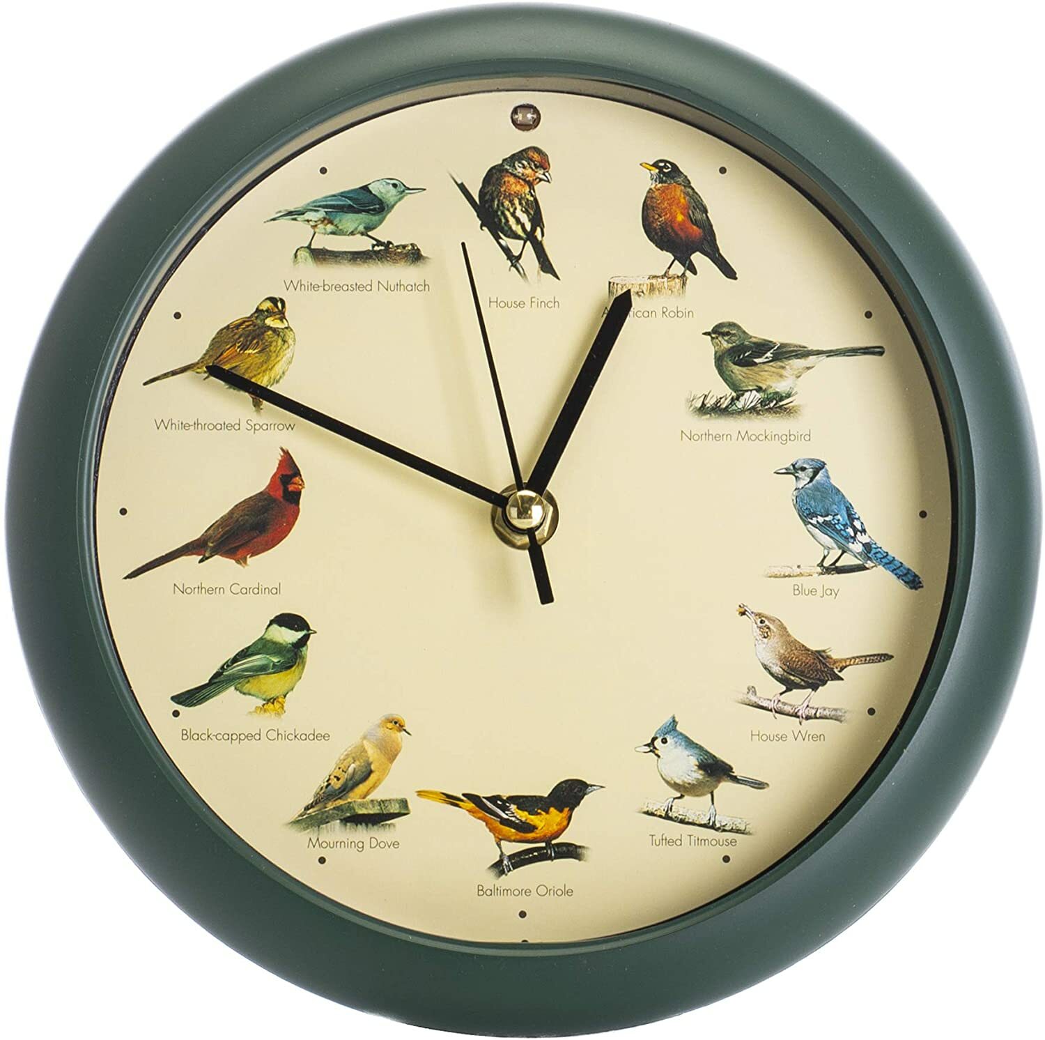 The Original Singing Bird Wall / Desk Sound Clock, 8 Inch, Green