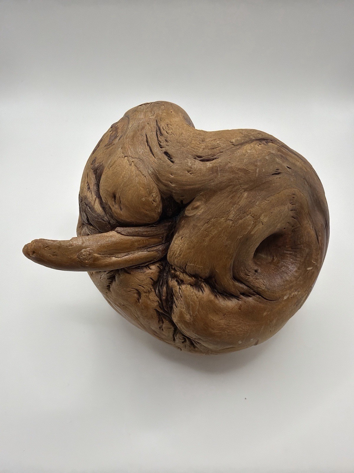 Natural Wood Burl Sculpture – Organic Root Knot – Smooth Driftwood Art Object