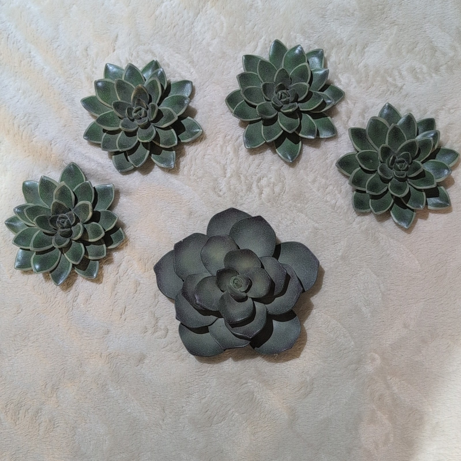 Green succulent wall art deco. Set of 5 Botanical Arrangement.