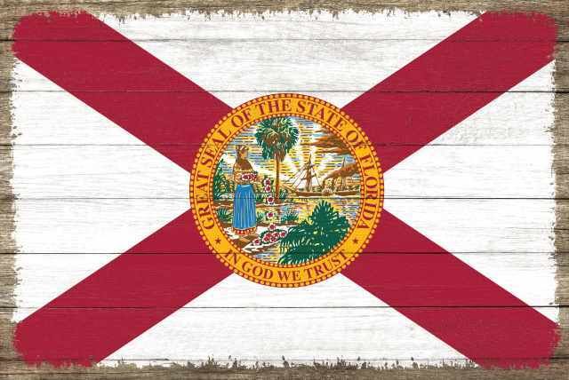 Florida State Flag Wood Sign Rustic Wall Décor Gift 12×18 B3-12180051009