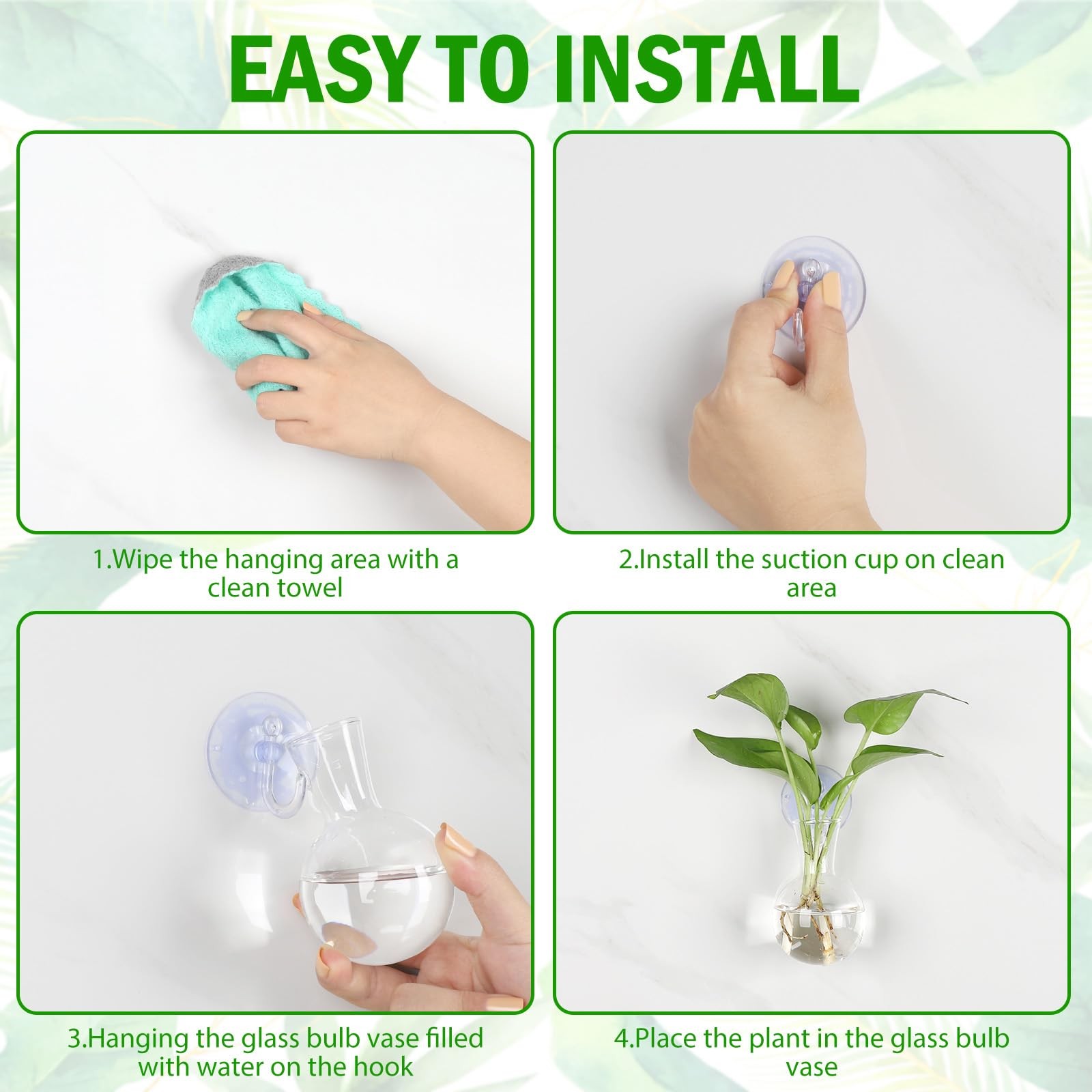 4Pack Window Propagation Stations with Suction Cups for Easy Plant Care