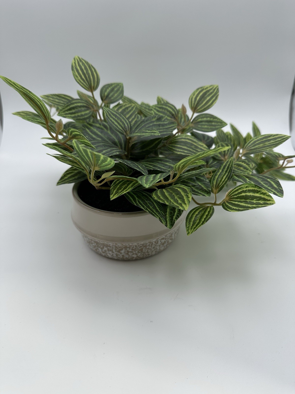 Ceramic Potted Faux Artificial Plant 6 In Height 15 In Length – Brand New!