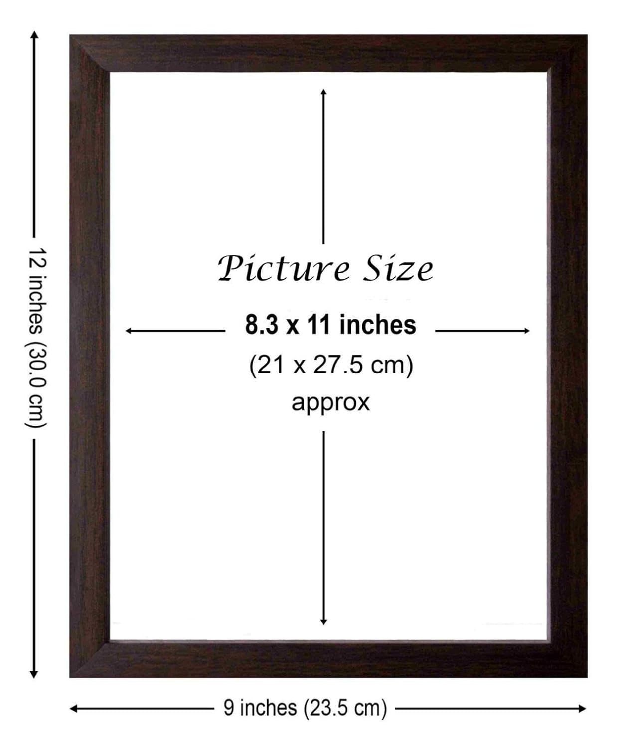 Rare Picture of Sai Nath Wall Decor Painting Frame