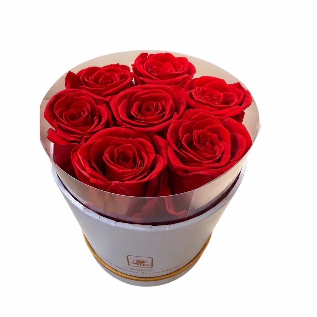 NEW REALRed Rose Arrangement in White Round Hat Box Romantic All Occasions Decor