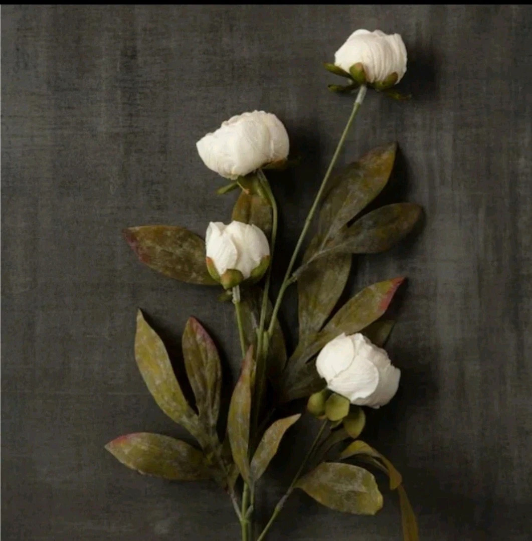 Viral Michael’s Ashland Cream Peony Stem YOU CHOOSE QUANTITY bundle save TIKTOK