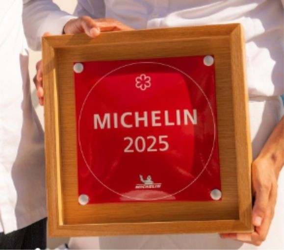 Custom 2-Sided Michelin Star Wall Plaque, Gift For Chef, Cook, Restaurant or MOM