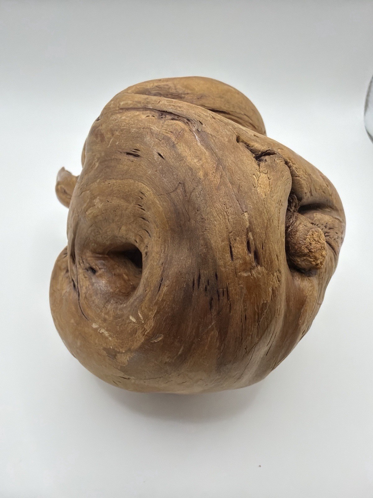 Natural Wood Burl Sculpture – Organic Root Knot – Smooth Driftwood Art Object