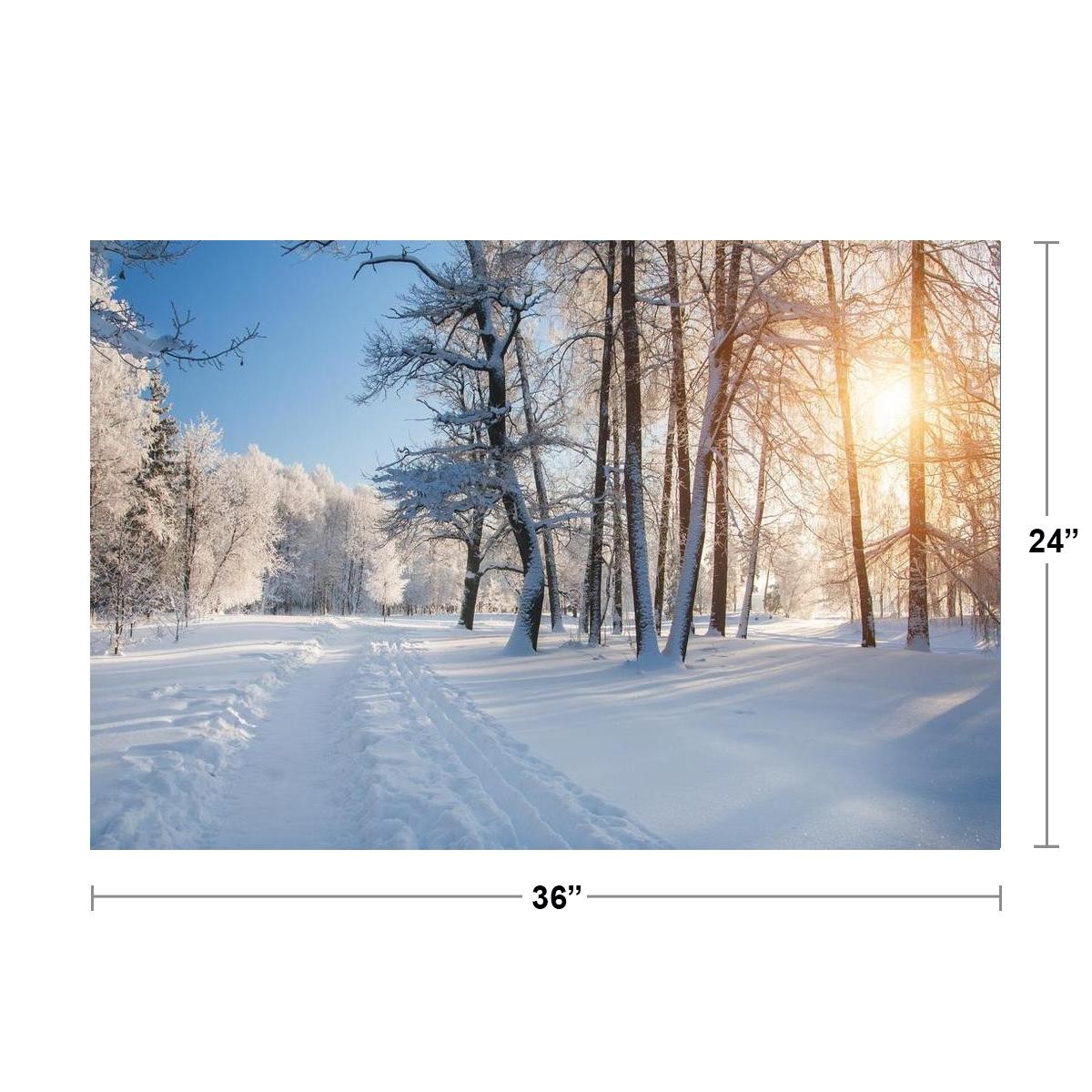 Winter Park Forest Trees In Snow Sunrise Landscape Photo Poster 36×24