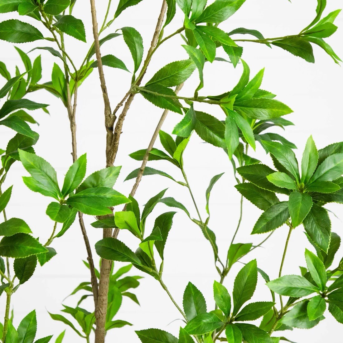 6′ Artificial Minimalist Japanese Pieris Tree
